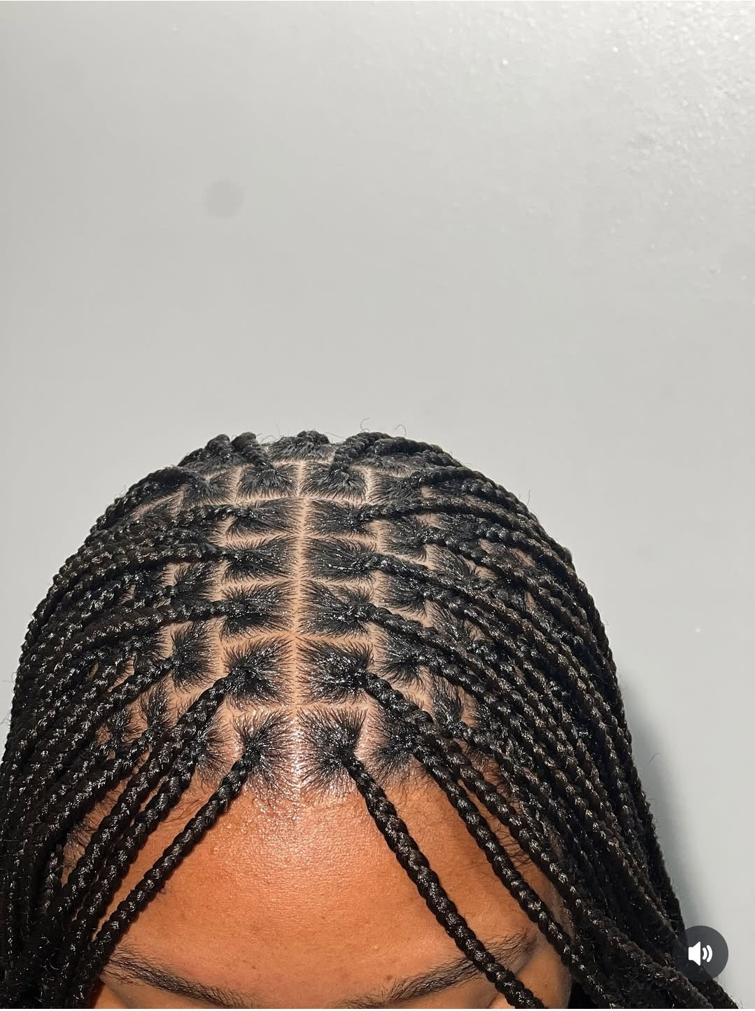 Braids Shoulder or Bum Length Size Book Now